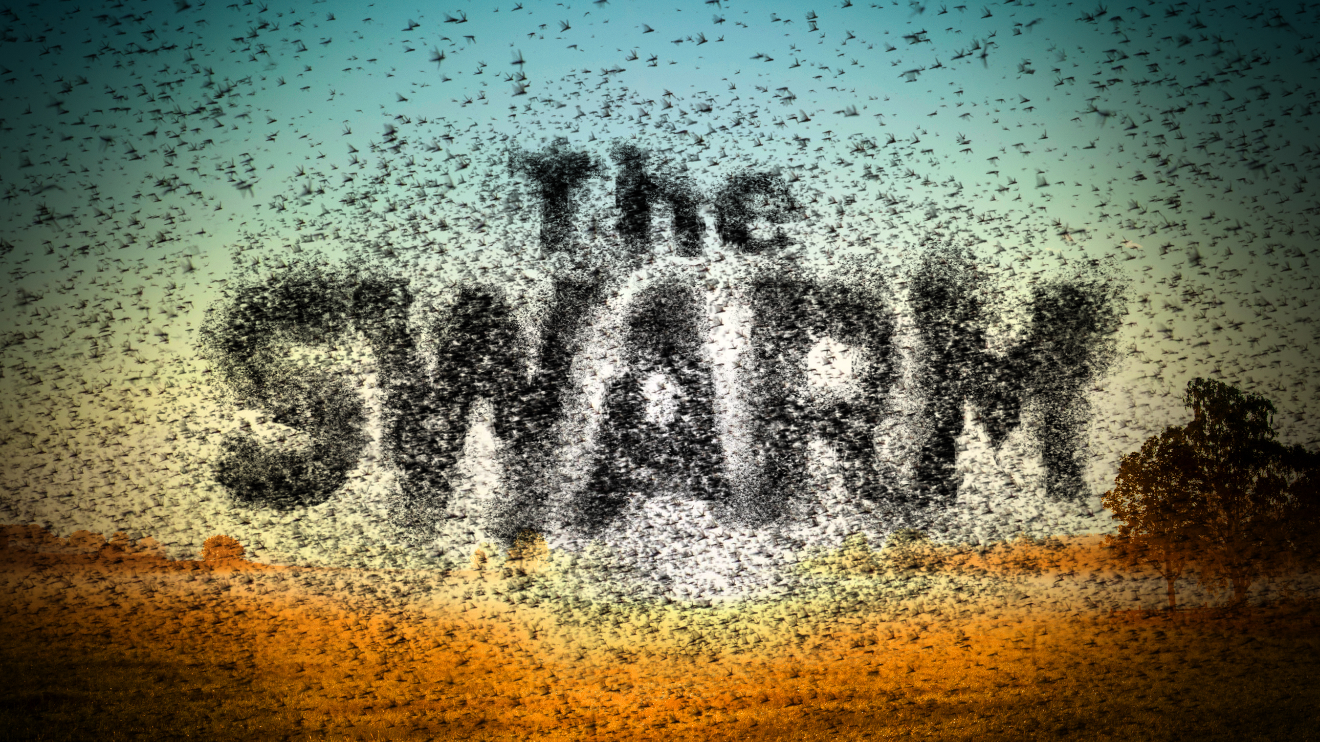 The Swarm